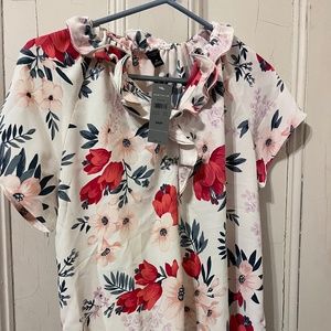 Ann Taylor MP Floral Ruffle Top Blouse